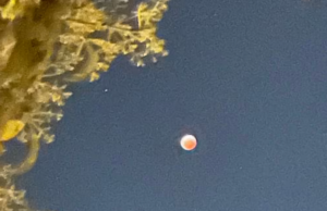 Misteriose Sfere Luminose escono dall’acqua al Largo della Florida misteriose sfere luminose in florida