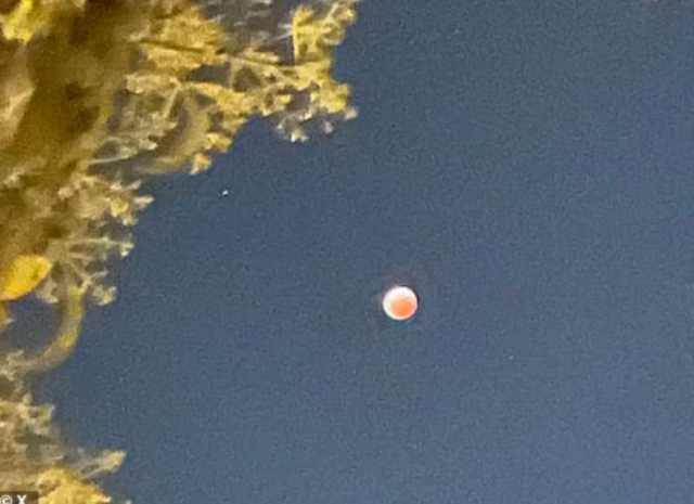 misteriose sfere luminose in florida